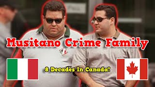 Musitano Crime Family Hamiltons Mobs Mafia Wars [upl. by Vittoria]