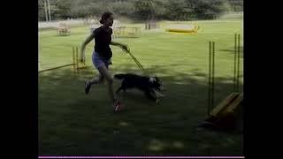 75 Jahre HUNDESPORT in DEGERLOCH 2002 [upl. by Child]