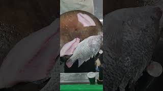 Black Tilapia Fillet fypシ゚viral fishfillet cuttingskils [upl. by Yuh]