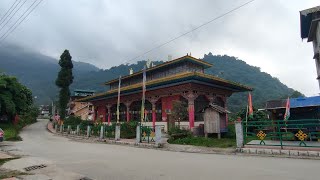 Goechala Trek 2024 October all details cost Njp to Yuksom part 1 [upl. by Eellehs]