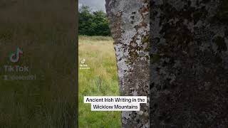 Ancient Writing in Ireland An Ogham stone ancienthistory ireland irishtourism oghamstone visit [upl. by Yeltnarb]