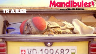 Mandibules  Official Trailer  2020  ComedyFantasy [upl. by Akira]