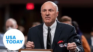 Kevin OLeary grilled on FTX crypto exchange collapse  USA TODAY [upl. by Erle455]