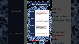 Types of Transplantation Autograft Isograft Allograft amp Xenograft PreU Biology shorts short [upl. by Yclek]