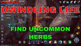 Mir4 Request Quest Clue Dwindling Life Find Uncommon Herbs Bicheon Castle [upl. by Nelyt]