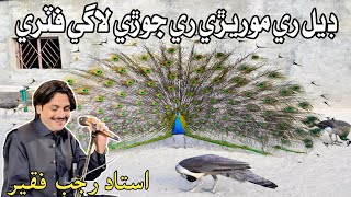 Del Ry Morery Ri Jorii Lagy Futrii  Rajab Faqir  Fozia Soomro  Dhataki Song  SS Hamirani [upl. by Yraek]