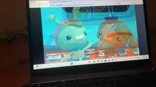 Octonauts Creature Report Sailfish [upl. by Tooley201]