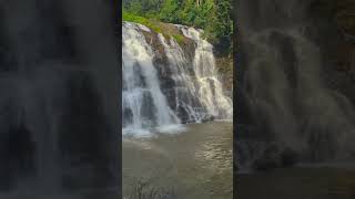 Abbey waterfalls coorg india travel youtubeshorts [upl. by Oznofla]