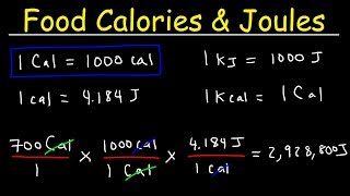 Joules Food Calories amp Kilojoules  Unit Conversion With Heat Energy  Physics Problems [upl. by Llireva]