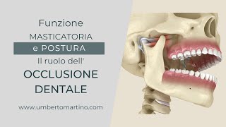 Funzione masticatoria e Postura il ruolo dellOcclusione Dentale [upl. by Randell]