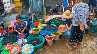 Amazing cambodis food Cambodian holiday food sells food market  Siem reap market siemreap [upl. by Elleved712]