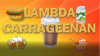 Lambda Carrageenan  The Dairy Food Thickener and Extender Extender [upl. by Emmalynne]