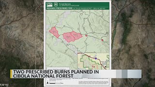 Prescribed burn planned in Cibola National Forest [upl. by Irtimd]