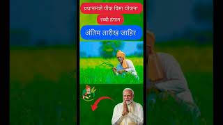 रब्बी पीक विमा अंतिम तारीख 🌾❓shorts pikvima pikvima2024 pikvimanewupdate yojana gk [upl. by Hawger212]