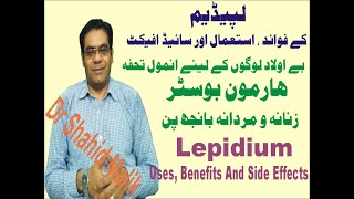 Lepidium لپیڈیم Uses Side Effect and Dosage [upl. by Lairret]