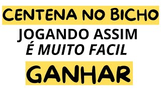 Como Joga e Como Ganhar no Bicho MilharGrupoCentenaTerno de Grupo [upl. by Templas980]