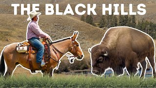 MULE COUNTRY Exploring Custer State Park S1 EP1 [upl. by Bluefield505]