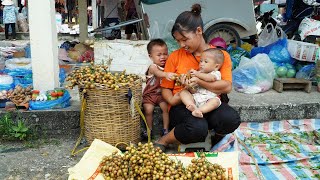 Single Mom Harvest Wampee Goes to the Market Sell  Joy of young mother  Ly Thi Ngoan [upl. by Culver]