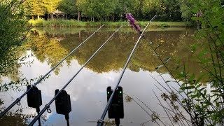 Fishing UK for 21 Days PART 1 Carp Shark Conger Eel Coarse amp Sea Angling [upl. by Happy]