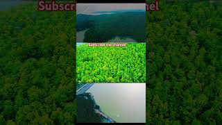 Chandil Dam Aerial Views of India’s Hidden Water Crisis [upl. by Wendin623]