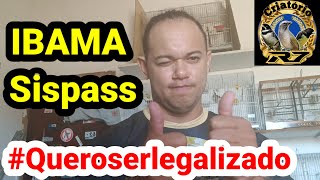 Como Fazer cadastro IBAMA Sispass como ser criador legalizado [upl. by Emse]