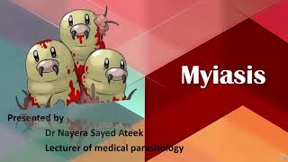 Myiasis Parasitology [upl. by Purdum103]