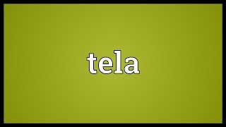 Tela Meaning [upl. by Klos]