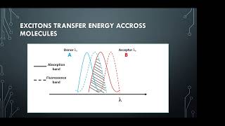 Exciton Energy Migration  Virtual Winter School CompChem 2022 [upl. by Dymoke]