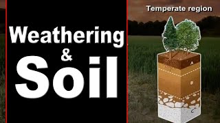 Formation of Soil  Weathering  Weathering and its Various Factors  Home Revise [upl. by Maggie]