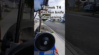 Tormek T4 kitchen knife sharpening tormek knifesharpening [upl. by Nnylirej31]