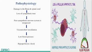 Neurogenic Shock Presentation [upl. by Roe]