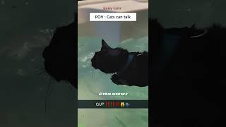 Funny Cats 2024 🥰 cat ❤️ babycats 3087 [upl. by Tnomyar]