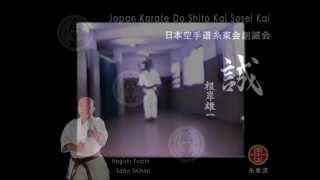 Japan Karatedo Shito Kai Sosei Kai [upl. by Enyrehtac]