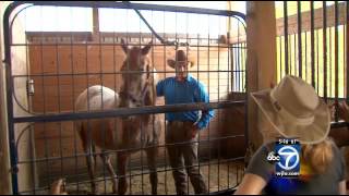 ‘Horse whisperer’ works to heal veterans with PTSD [upl. by Kurtis]