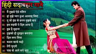 Hindi Gana🌹Sadabahar Song 💖हिंदी गाने 💔Purane Gane Mp3 💕Filmi Gaane अल्का याग्निक कुमार सानू गीत [upl. by Koffman834]