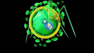 VirusStructure GeneticsCulture and Diseases [upl. by Nolaf]