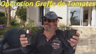 Opération Greffe de Tomates [upl. by Gasser]