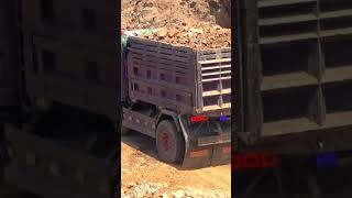 Bulldozers 1505 TV​ You Cannot do this work without any experience Truck unloading dirt [upl. by Oswin]