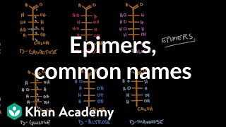 Carbohydrates  Epimers common names  Chemical processes  MCAT  Khan Academy [upl. by Ase909]