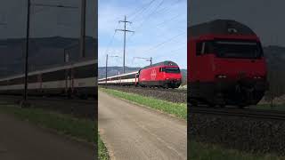 Airtrain IR36 from Basel on its way to Zurich Airport sbb train trainspotting swissrailway [upl. by Rexfourd601]