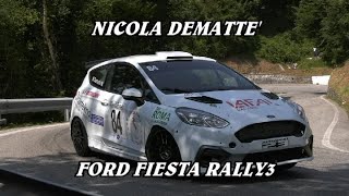 SALITA ALPE DEL NEVEGAL 2024  NICOLA DEMATTE  FORD FIESTA RALLY3  VIDEO BELLUNOVIDEO [upl. by Garrison]