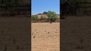 Riding Lesson at Rancho de los Cielos full video [upl. by Welton]