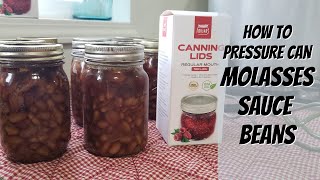 No Soak Molasses Beans with Forjars Lids [upl. by Estrin]