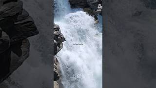 Athabasca Falls Jasper National Park Alberta Canada [upl. by Gagnon]