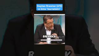 BrandnerAfD vs SpiegelReporter👍🏻afd memes deutsch deutschland politik shorts europa funny [upl. by Assirec]