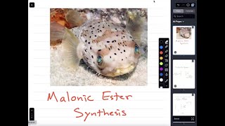 Malonic Ester Synthesis [upl. by Libbna]