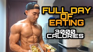 FULL DAY OF EATING 3000 CALORIES  LEAN BULKING EP8 🇵🇭 [upl. by Navap348]