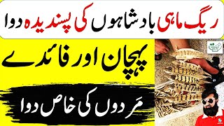 Regmahi Ke Kya Fayde Hain  Regmahi Ke Fayde In Urdu Hindi  Raig Mahi Benefits  ریگ ماہی کے فائدے [upl. by Adiuqal]