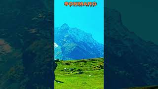 yoyo yoyohoneysinghnewsong shortfeed shortsviral kashmirattractions shortsyoutube shorts [upl. by Inkster]