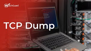 Tutorial TCP Dump [upl. by Sesom]